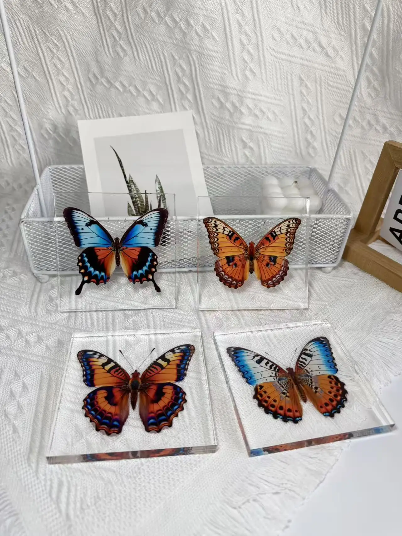 1 Stück Handgefertigtes Schmetterlings-Exemplar als Schreibtischdekoration, Kleine Ornament-Deko für Zuhause, Geschenk für Kinder und Mädchen – Detail 15