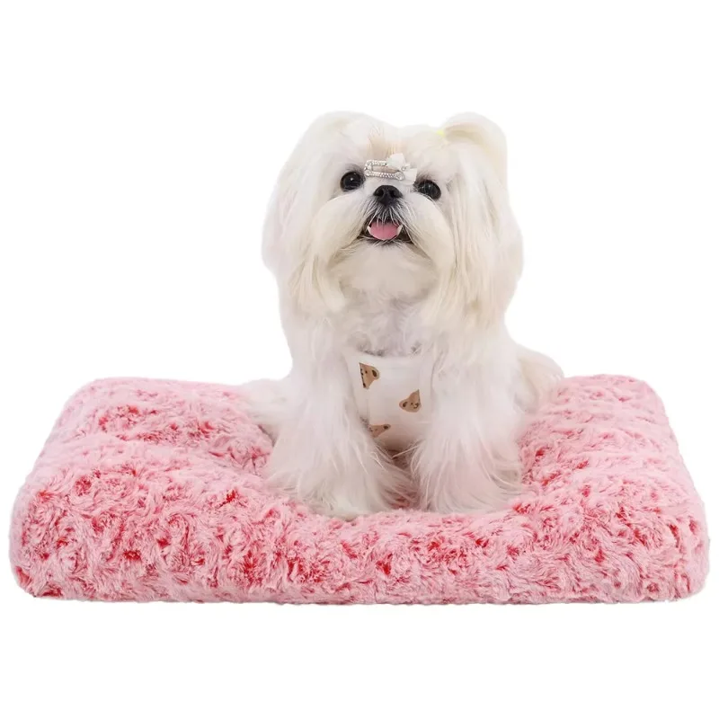 

Wholesale Luxury Soft Four Seasons Velvet Breathable Washable Foldable Medium and Large Dog Pet Sofa Bed Solid Pattern