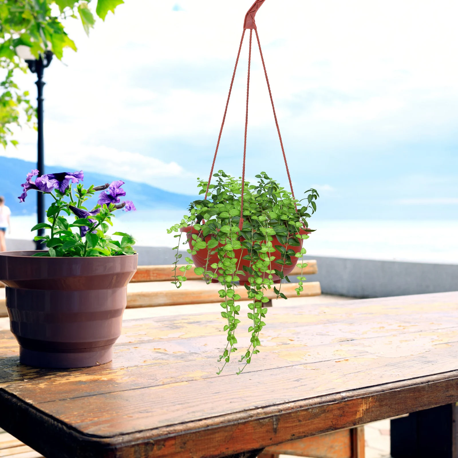 6 set Vaso da fiori in plastica con aneto verde Vasi sospesi Fioriera piccola con cestini riutilizzabili di drenaggio Decor Durevole