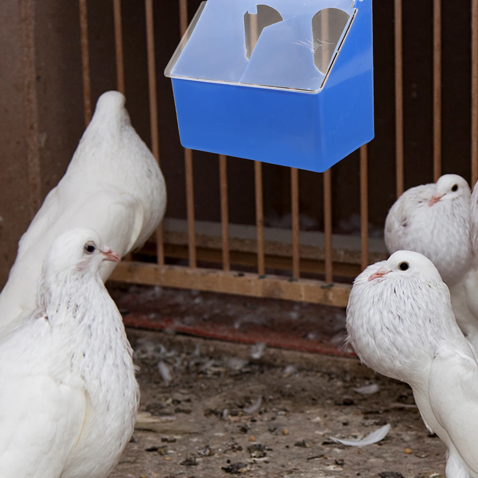 

Plastic Pigeon Feeder Durable Bird Feeder Easy Install Refill Multi-Function Cup Cage Floor Use Gift For Bird Lovers Household