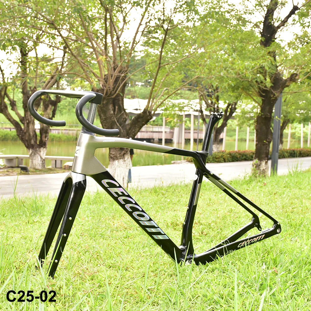 T1000 carbon road bike frame 700c x 47C bb386 140/160, flat Mount disc brake Bicycle Frameset