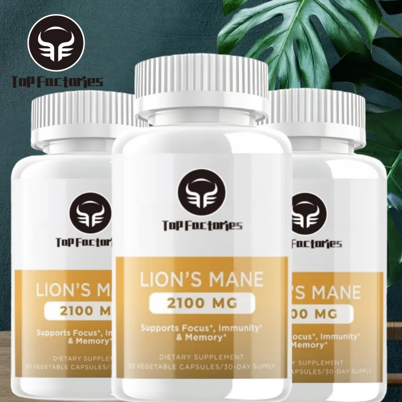 유기 두뇌 강화 퍼즐, 사자 갈기 버섯 캡슐, 흡수 강화제 및 면역 지지대 포함