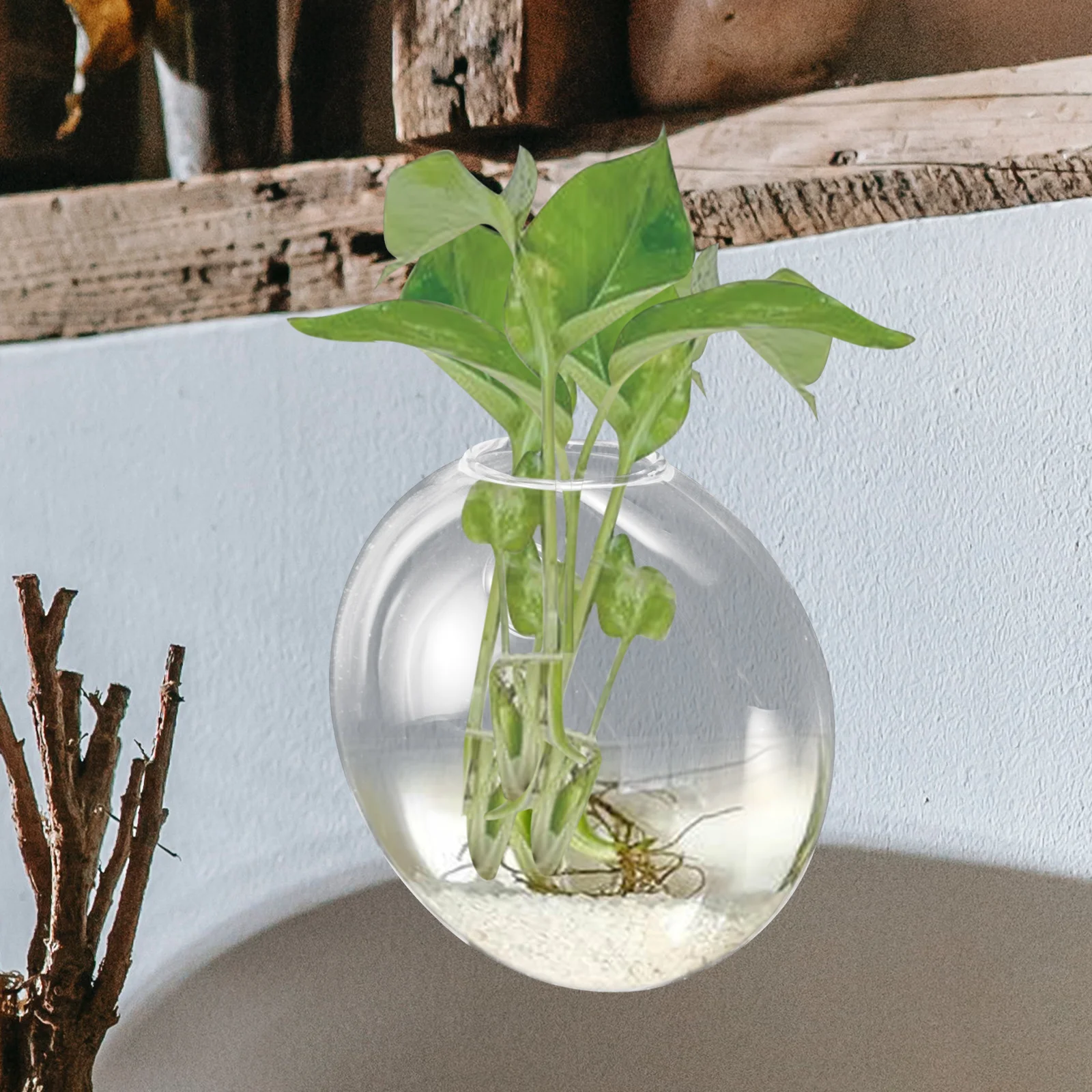 

Wall Mounted Hydroponic Glass Vase for Indoor Plants Space Saving Clear Hanging Planter Decorative Modern Design Suitable Small
