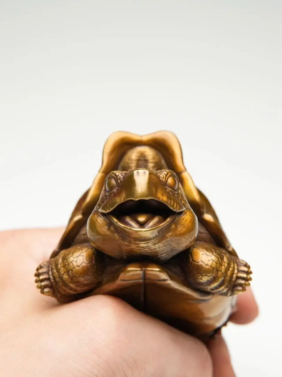 Adornos de Bronce de Galápagos y Tortuga, Serie Tortuga