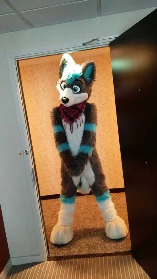 Coole Weiß-Graue Langhaar-Husky-Fursuit Furry Fuchs-Hund Maskottchen-Kostüm Halloween Weihnachtsfeier Tier-Cosplay-Outfit