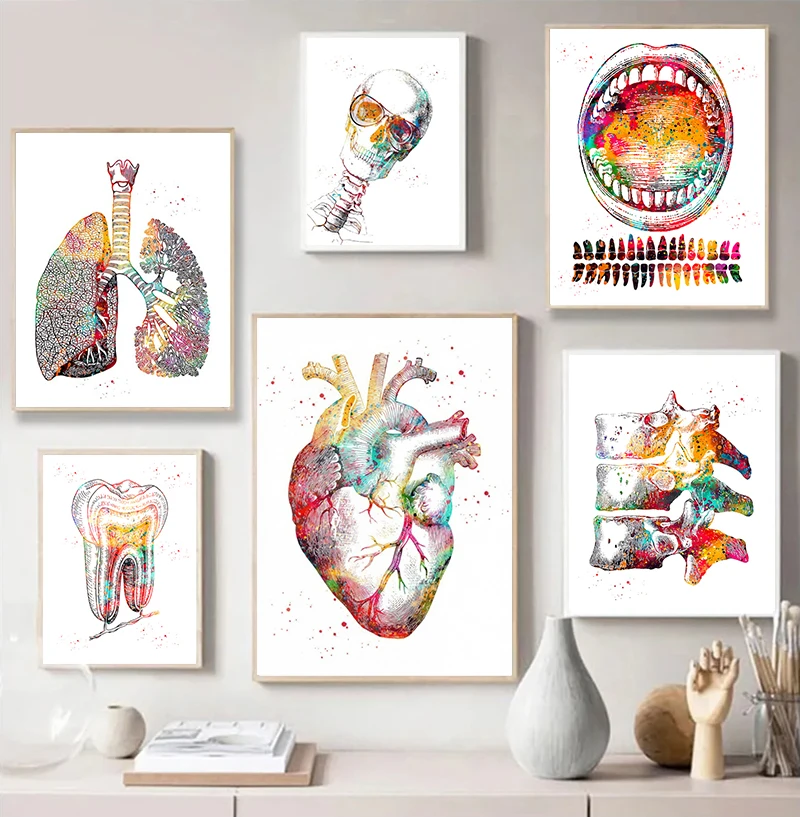 Human Anatomy Muscle System Diamond Wall Art, Heart Lung Bone Poster Prints, Medical Education for Office Home Decoration Gift