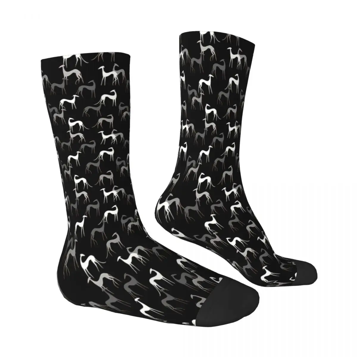 Chaussettes en polyester pour hommes et femmes, bas de printemps, lévrier noir, chien Whippet