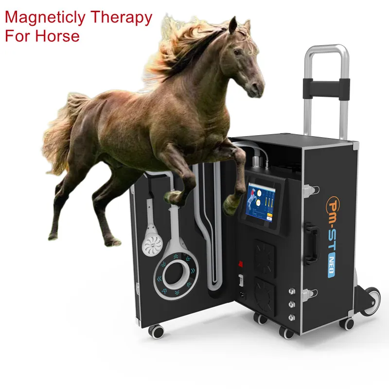 

Magnetic Therapy EMTT Physio Magneto Physiotherapy Machine With Water Cooling System For Horses Muscle and Soft Tissue