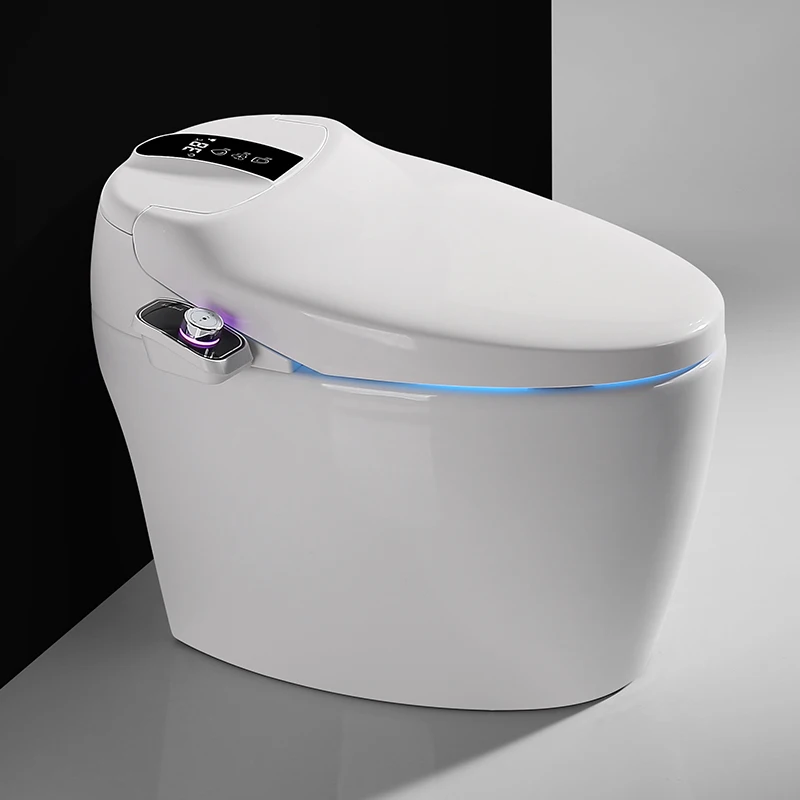 Smart Toilet With Automatic Wc Bidet And Intelligent Functions In Special Offer