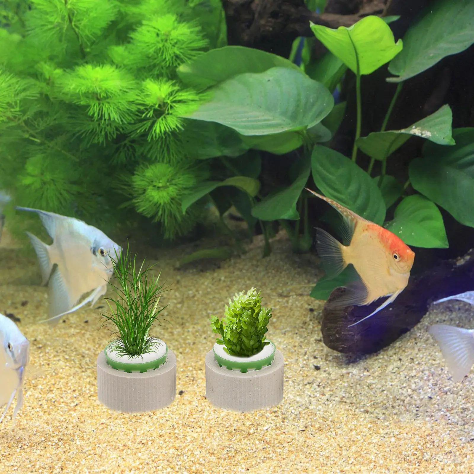 9Pcs Aquatic Plant Holder Cera - Aquarium Plant Design ulasan dan harga
