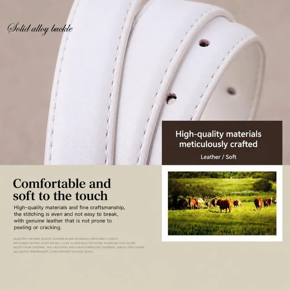 Casual Alloy Buckle Faux Leather Belt Versatile Decorative Pin Buckle Belt Casual Belt For Women Ladies