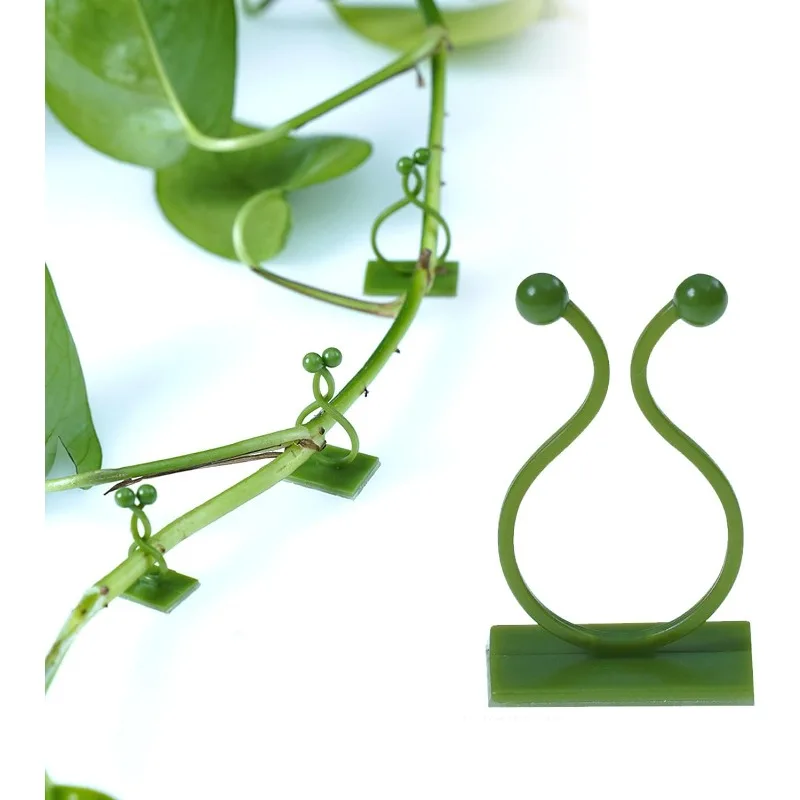 100Pcs Plant Climbing Wall Clips Vine Buckle Hook Rattan Clamp Fixator Self-Adhesive Plant Stent Invisible Vine Climbing Fixed