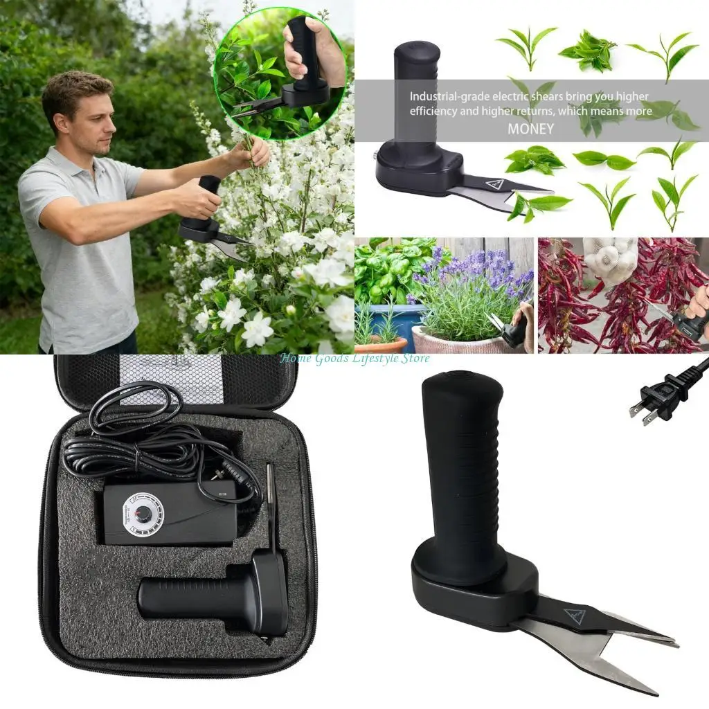 E74E Dense Electric… - image