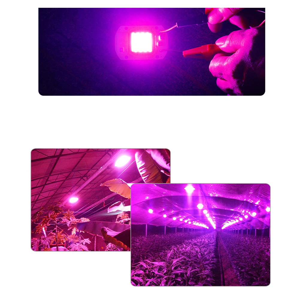 COB LED育成ライト COB植物育成ライト COB育成ライト フルライト