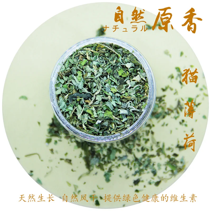 عضوي 100% طبيعي عالي الجودة النعناع البري الماشية العشب النعناع طعم مضحك القط لعبة جديدة لعبة القط التفاعلية مستلزمات الحيوانات الأليفة