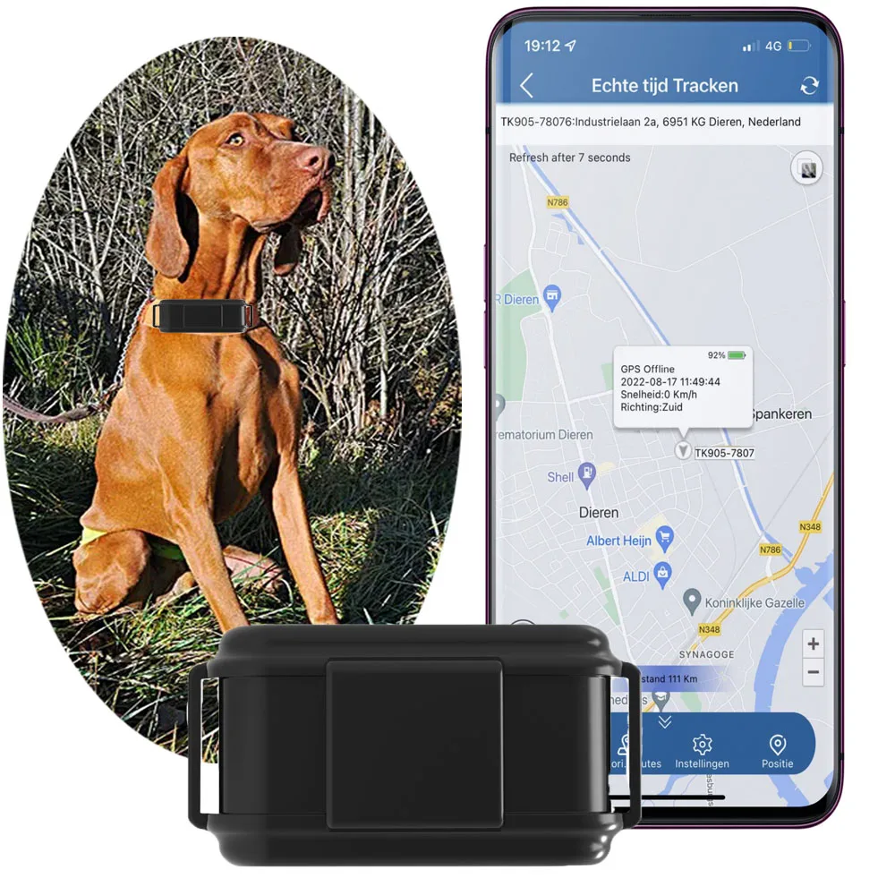 4G Animal GPS Tracker Cow Camel Sheep Dog GPS Locator Long Standby Waterproof Livestock Management Free APP