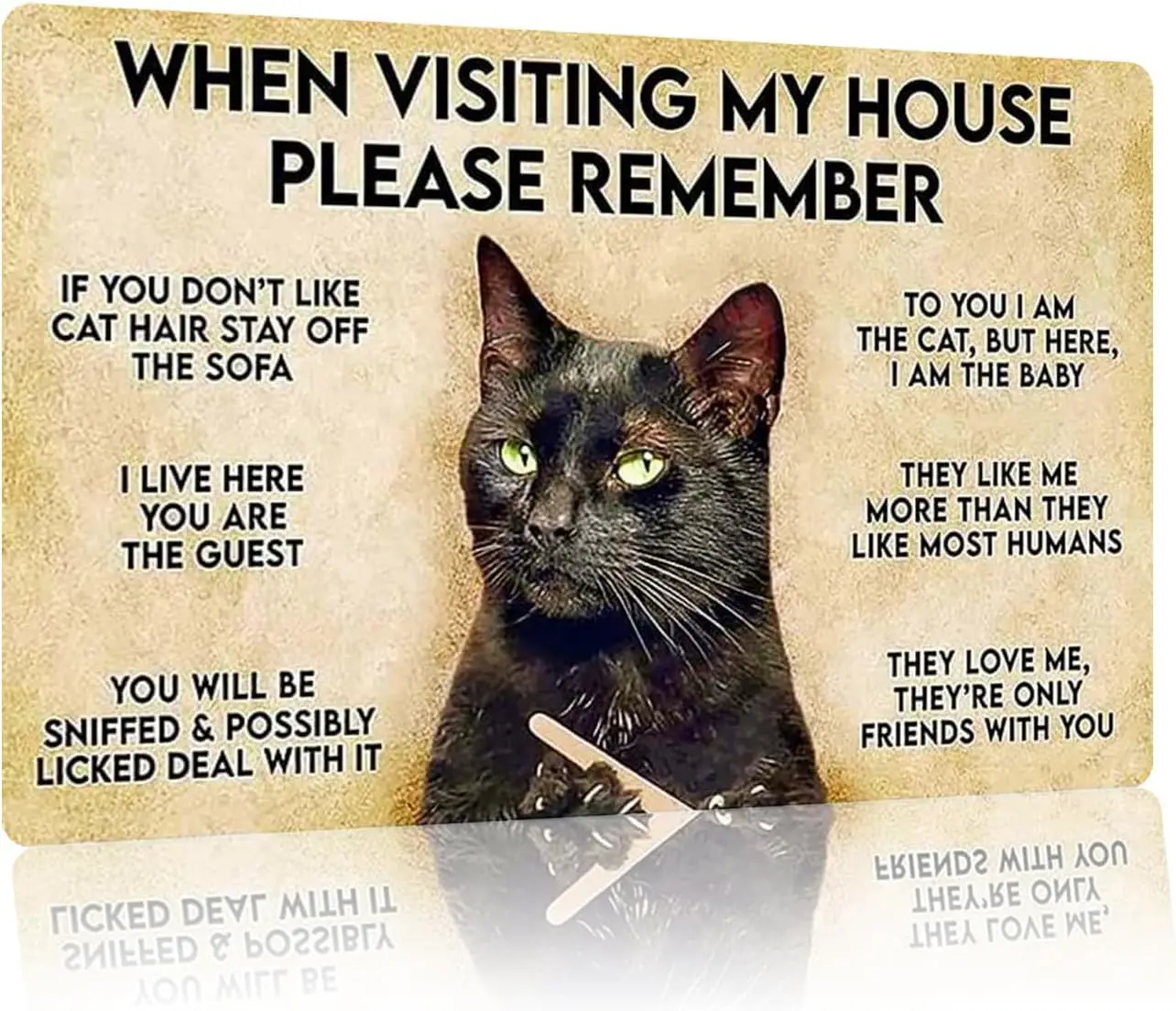 Funny Black Cat Rules Metal Sign ,When Visiting My House Please Remember,Home Decor for Cat Lover, Retro Room Decor Caution Sign