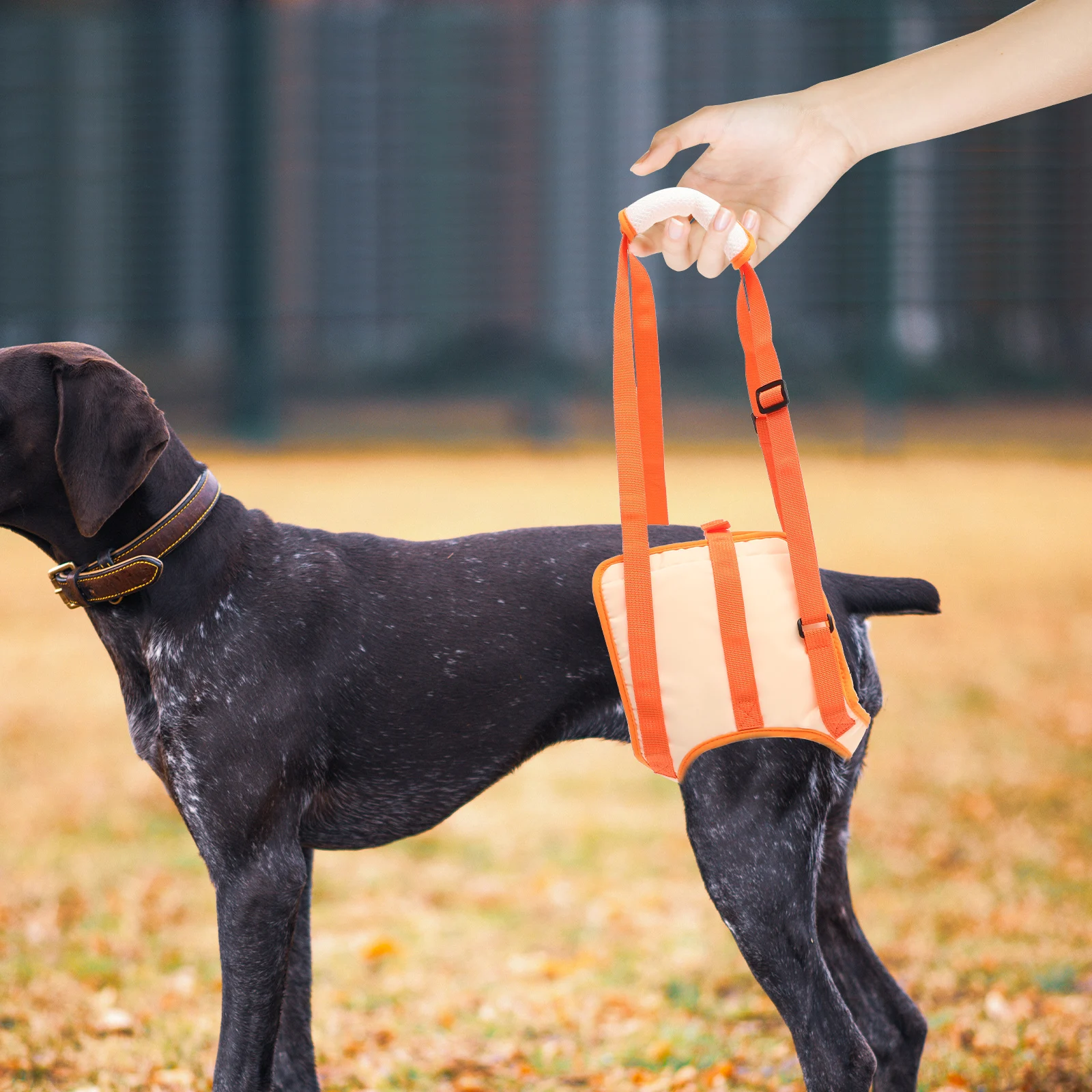 

Pet Auxiliary Belt Support Sling Mobility Assistance Elderly Dog Lifter for Dogs Band Carrier Net