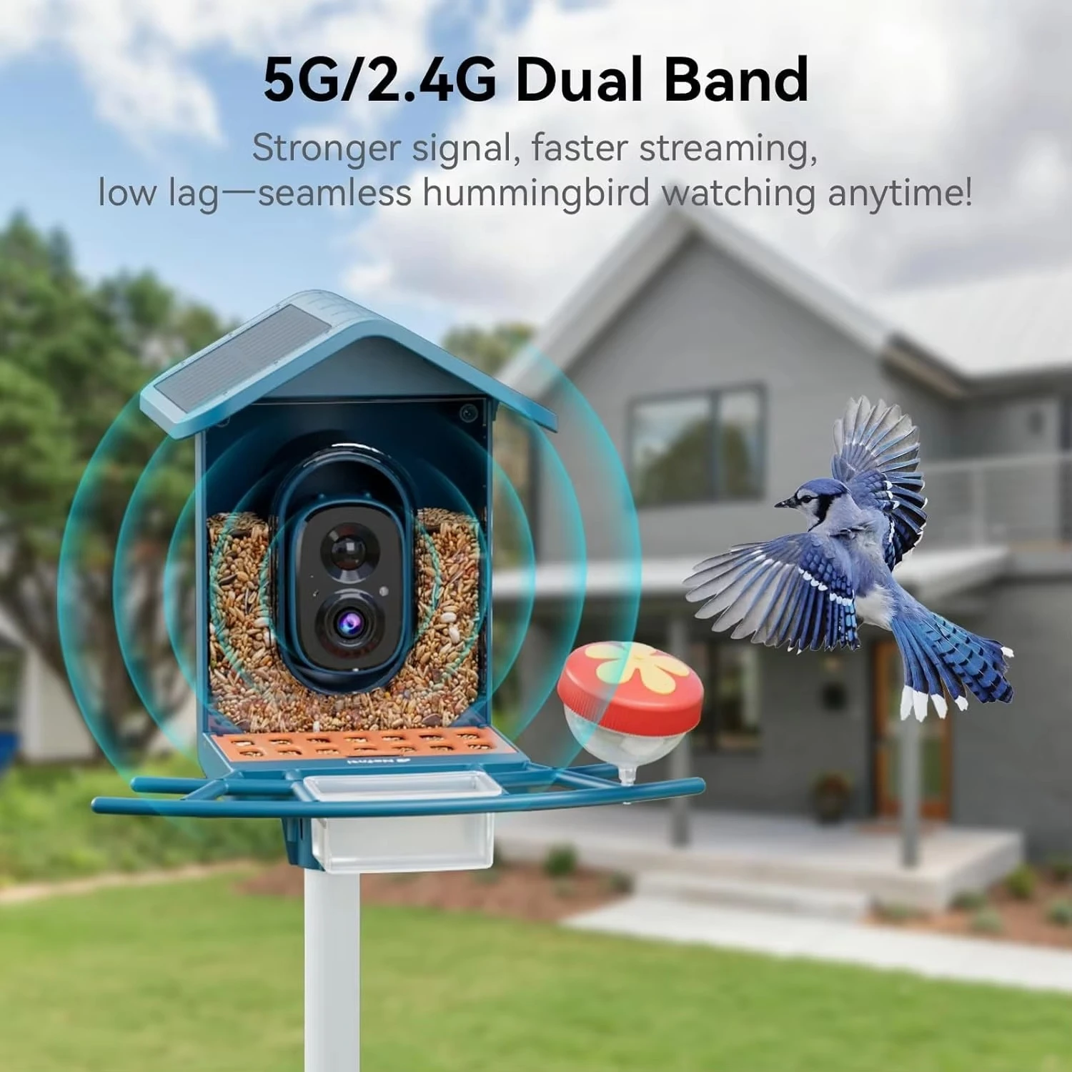 Intelligent bird feeder camera high definition real-time view of artificial intelligence bird species identification alert