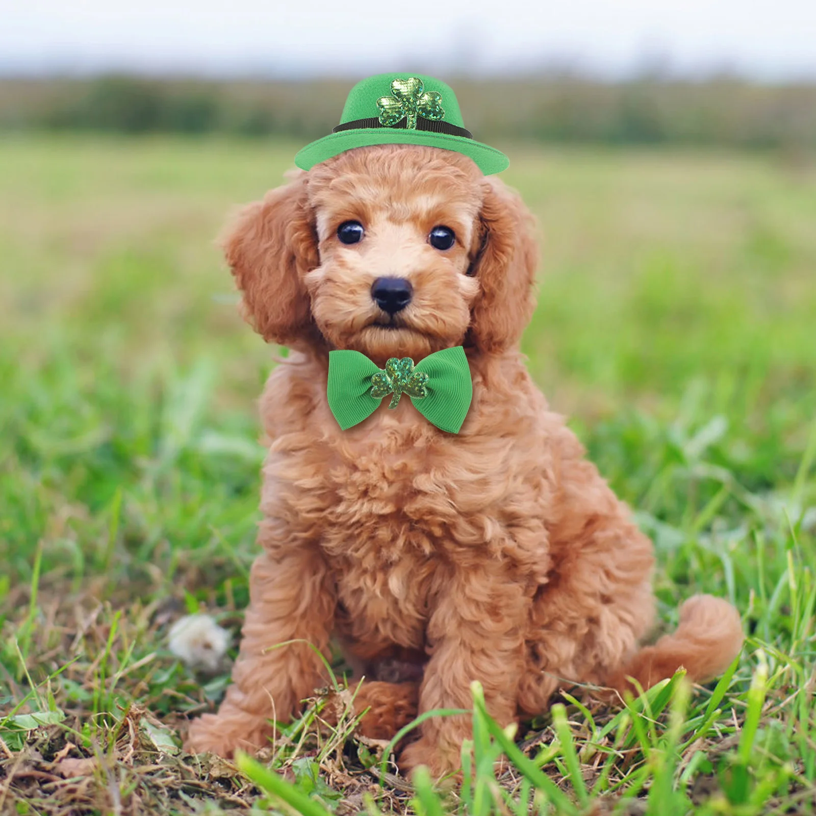 Elastic Pet Hat and Tie Set Dog Birthday Bandana Polyester Pets Saint Patrick's Costume