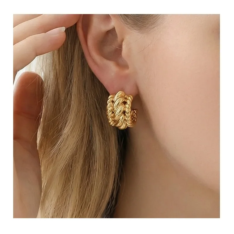 

Shape Kink Geometric Earrings Fashion Exquisite Elegance High-end Trend Versatile Earrings Stainless Steel Earrings