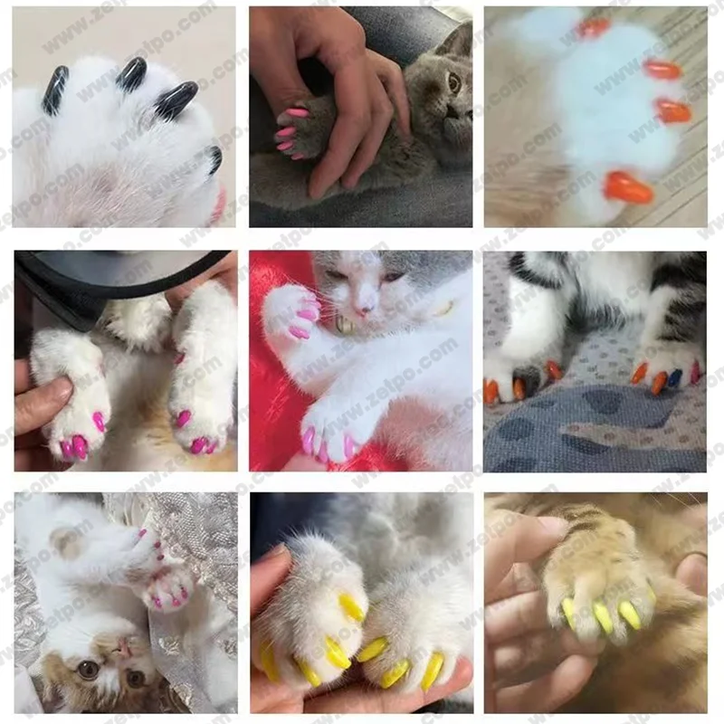 New Double color Soft Nail Caps for Cats 20pcs + 1x Adhesive Glue + 1x Applicator /* XS, S, M, L, cover, cat, paw, claw, zep */