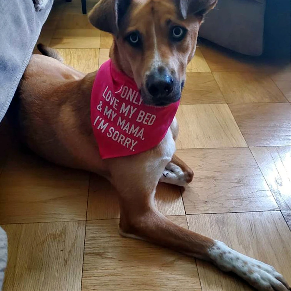 

PPersonalised Dog Accessories I Only Love My Bed And My Mama I'm Sorry - Dog Bandana Red Gift Outfit for Dog Wedding Birthday