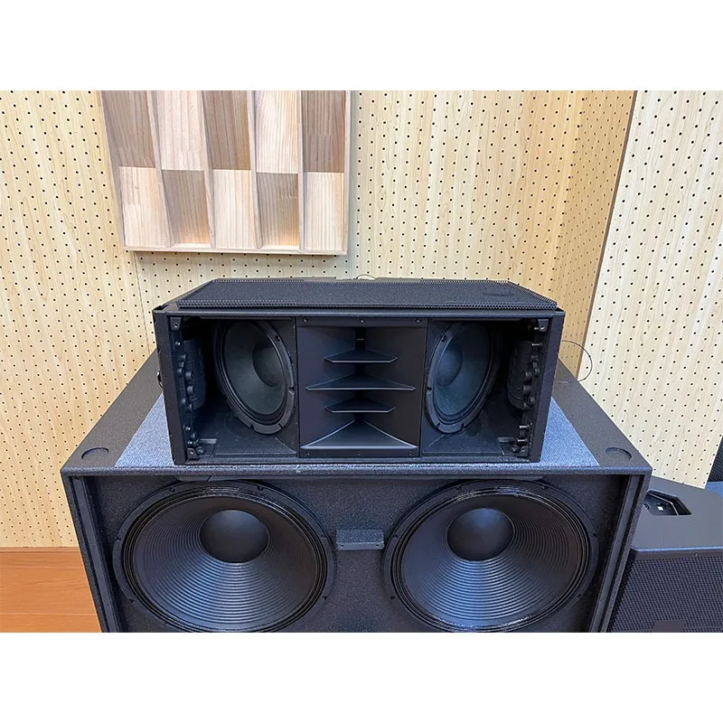 Dual 10 Inch Vibrant Dynamic Tone For Outdoor Concert Bold Punchy Sound Perfect For Any Live Show