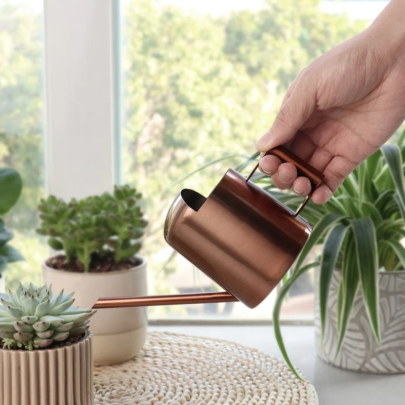 

300ml Garden Tools Water Flowers Stainless Steel Satin Metal Antique Copper Mini Watering Can