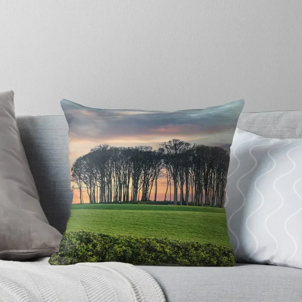 

nearly home trees Cornwall at sunset Throw Pillow Sofa Covers For Living Room Sofa Cushion pillow