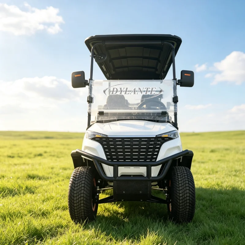 2 4 6 Passenger Electric Vehicle Alloy Rim Off-road Tires Waterproof Wiring Harness Canopy Park Sightseeing Golf Buggy Cart