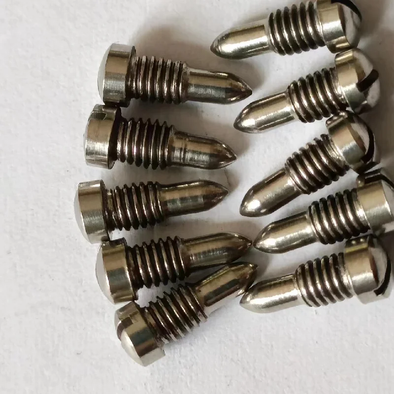 100PCS high quality Sakesi summit screw maintenance parts Hot sale