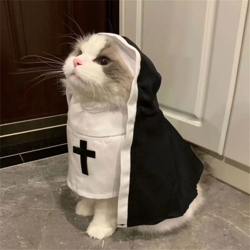 Abbigliamento estivo per animali domestici sottile, traspirante e divertente, oggetti di scena per foto cosplay, bestseller per influencer Instagram di piccole e medie dimensioni