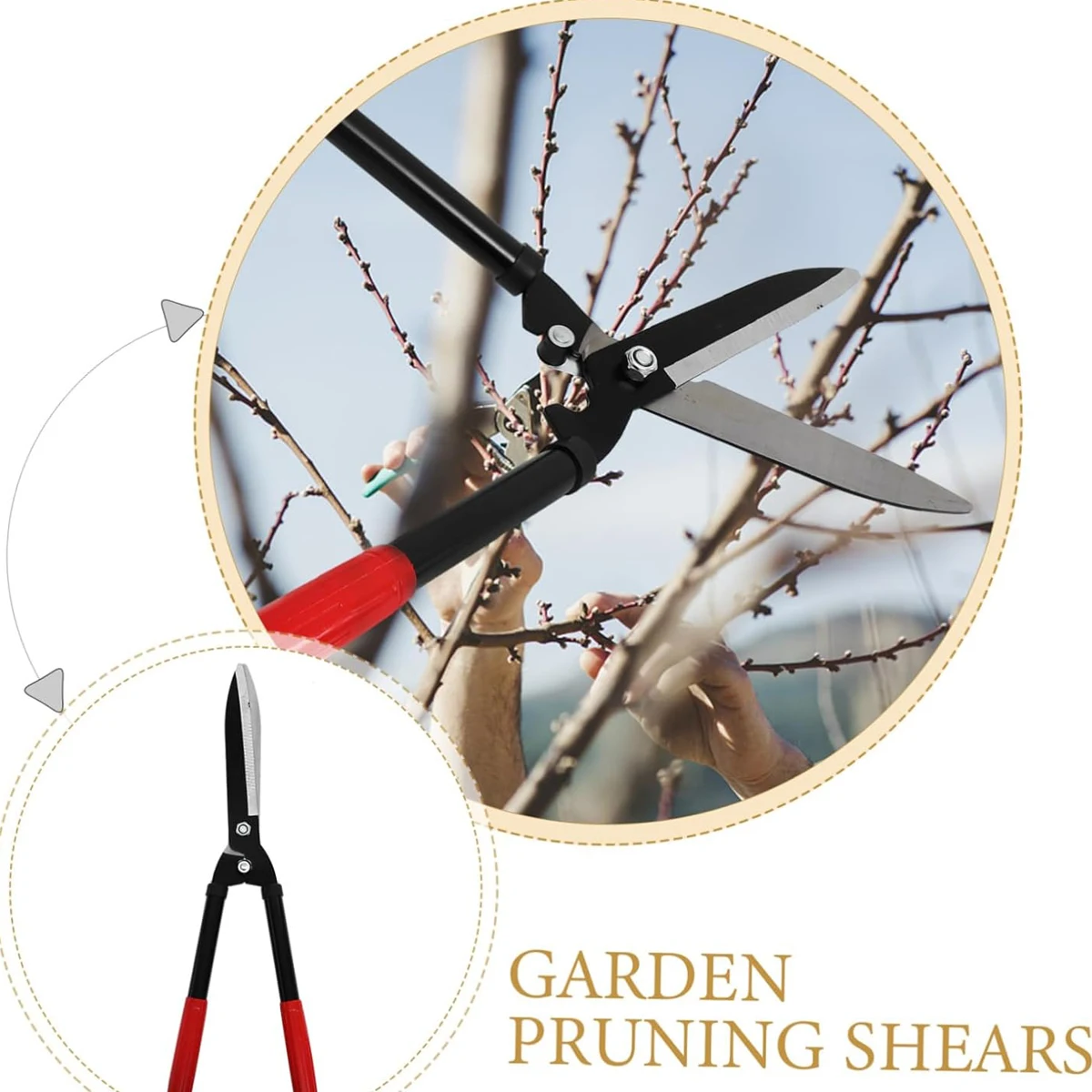 Tijeras de podar de mango larg - Gardening Tools Long Handle reseña y precio