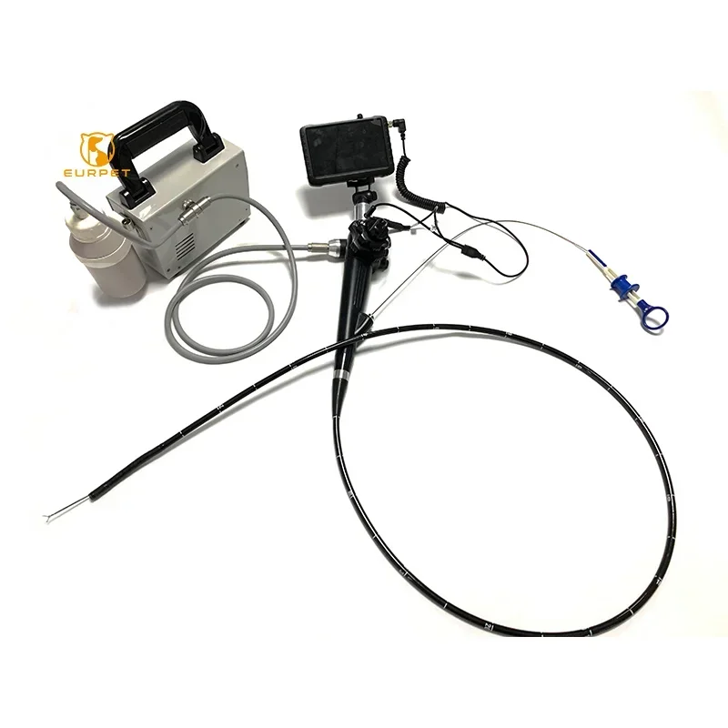 EUR PET Hot Selling Medical Equipment Bronchoscope Flexible Video Electronic Endoscope Video Bronchoscope