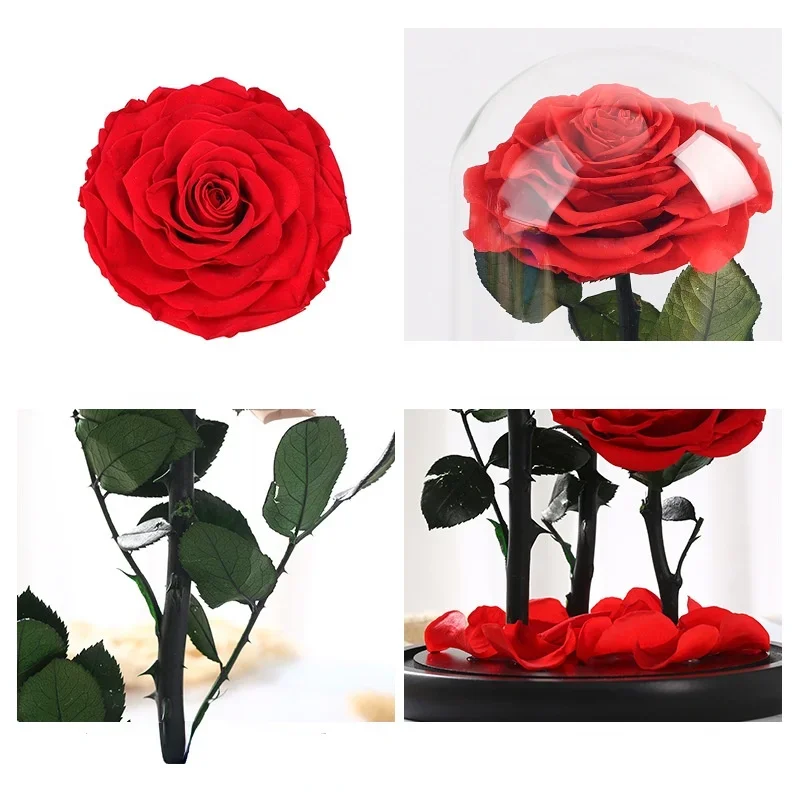 Eternal Rose In Glass Big Red Preserved Fresh Rose in Glass Valentine's Day gift Romantic Rose Glass