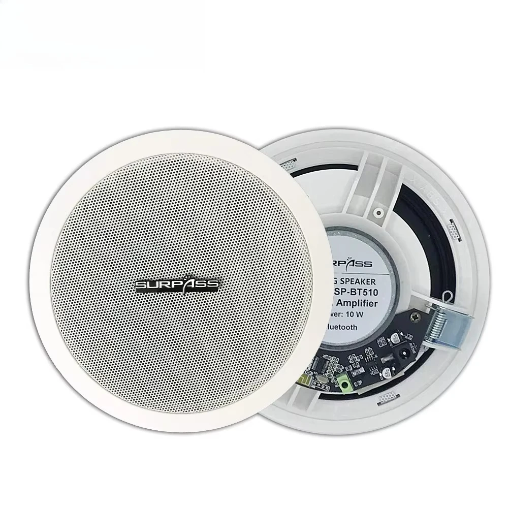 Рисунок 3 - Встроенный усилитель класса D