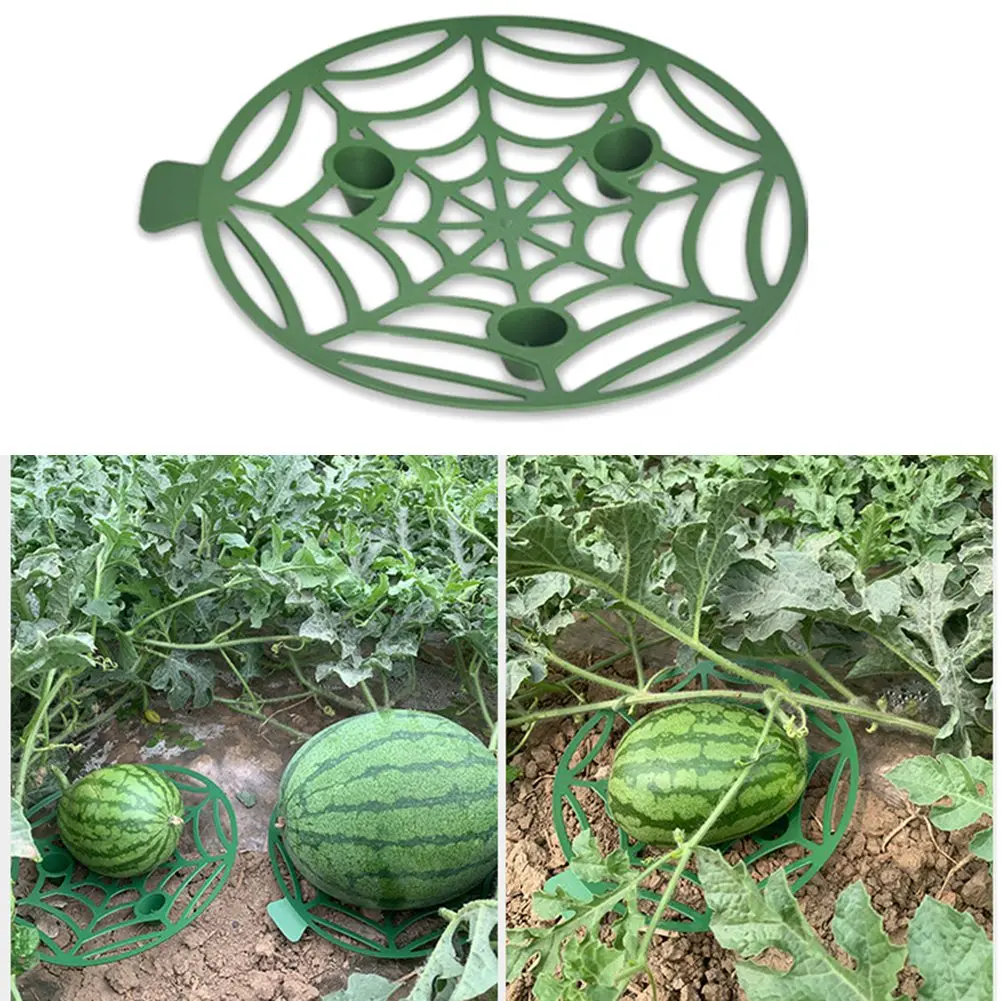 سلة دعم البطيخ ، صينية زراعة الفاكهة والبطيخ ، حامل خضروات ، حامل إطار سلة ، 5 10 *