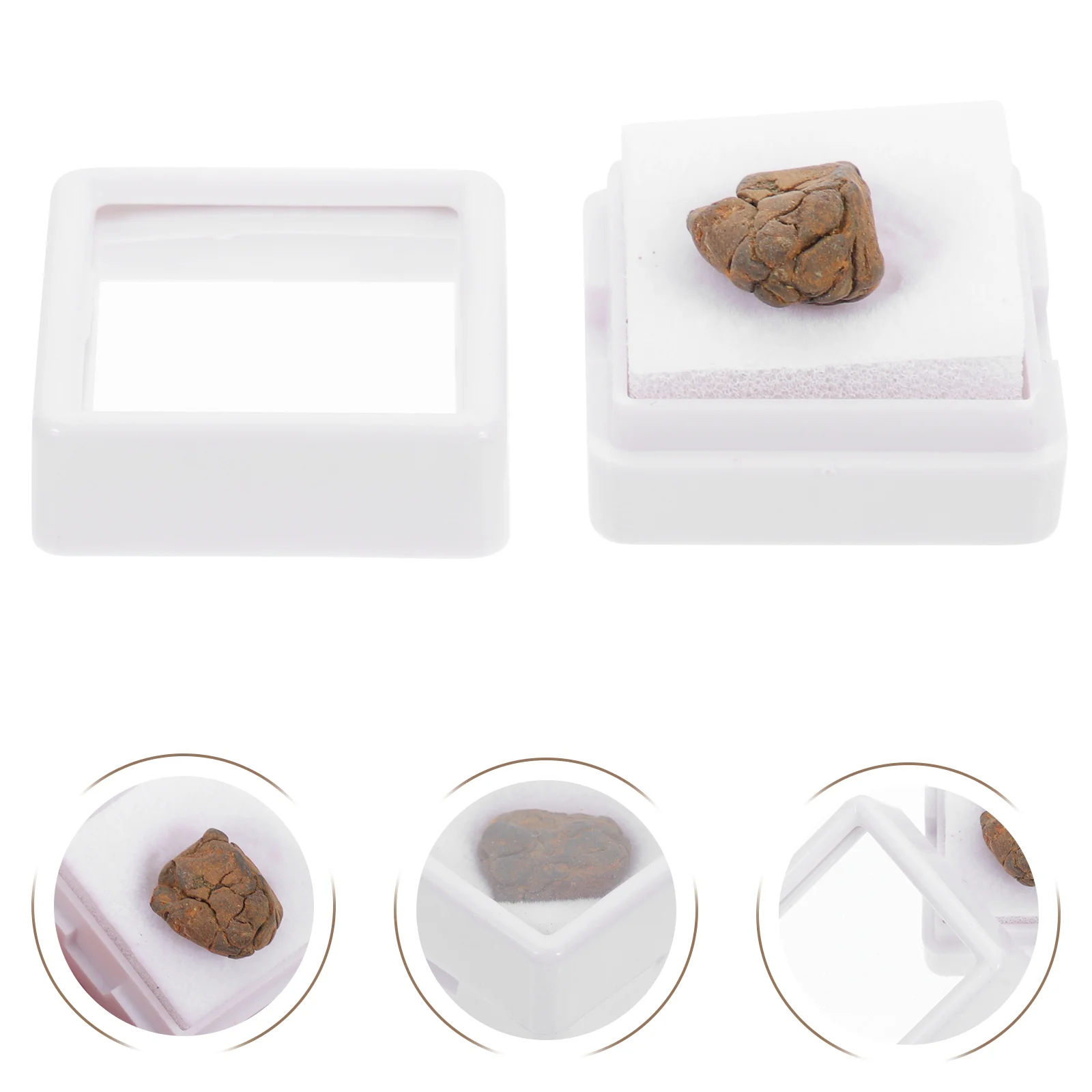 2 Pcs Authentic Meteorite and Collection Olive Desktop Ornament Teaching Specimen