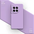 Grass Purple
