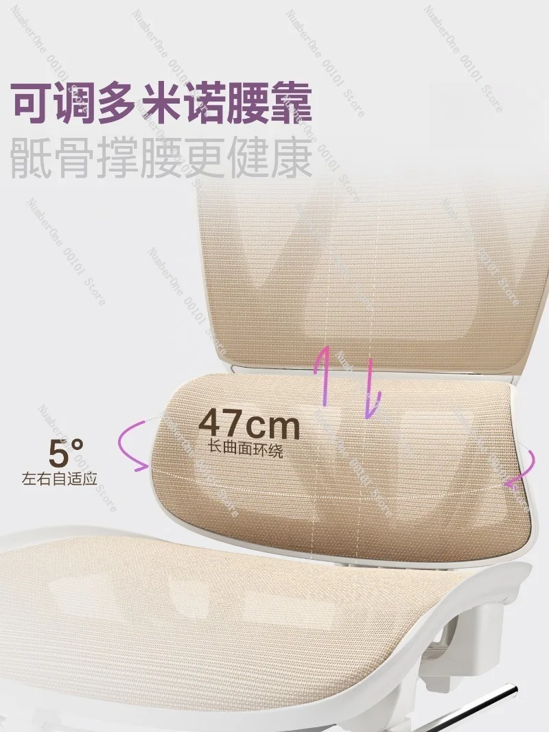 Ergonomic Home Office Chair with Adjustable Back Support,Comfortable Long-Sitting Computer Chair for Dorm,Study Desk,Gaming