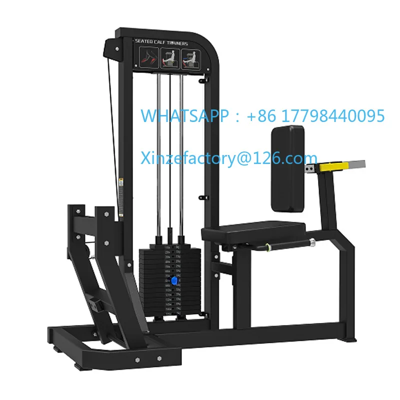 

Customizable Commercial Back Training Equipment High Pull Down Leg Training Chest and Buttocks Training Device