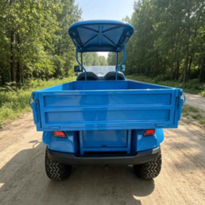 High Quality Affordable Price Color Custom Electric Golf Cart Cargo Truck Cart With Rear Cargo Box Off-Road Tires Solar Panels