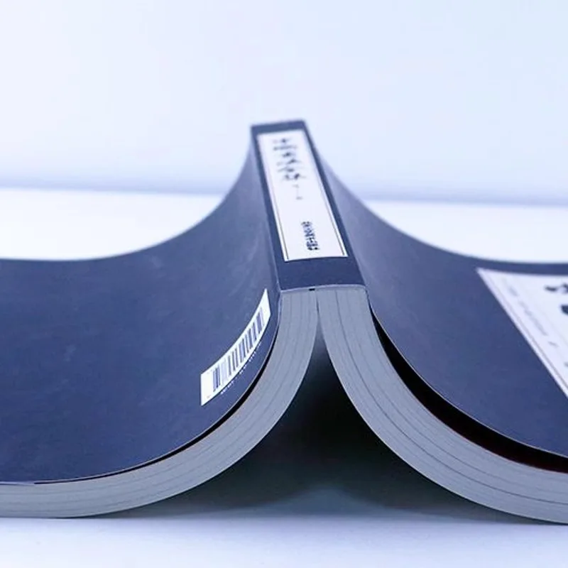 Chinese Calligraphy, Wang Xizhi's Handed Down Calligraphy, Brush Calligraphy