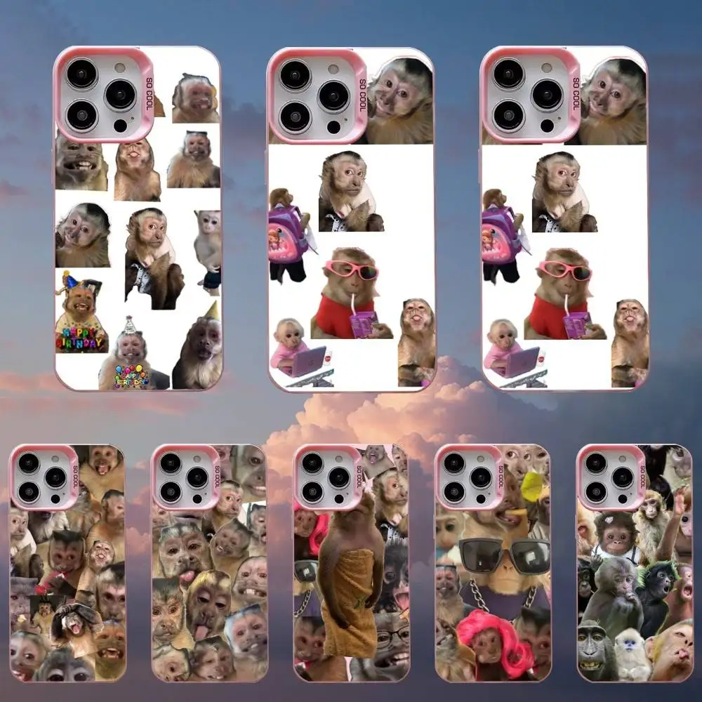 

Funny monkey Phone Case For iPhone 16,15,14,13,12,11,Mini,Pro,SE,MAX Pink Matte Silicone Cover