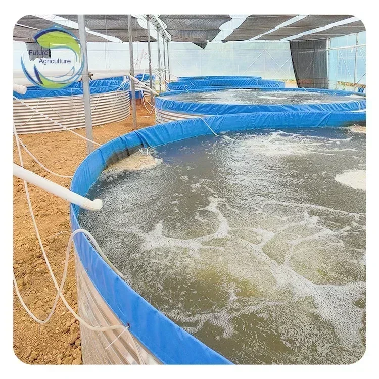 

ST Tilapia Catfish Shrimp Ras Aquaculture Systems Tarpaulin Fish Pond Ras System Fish Tank Fish Farming