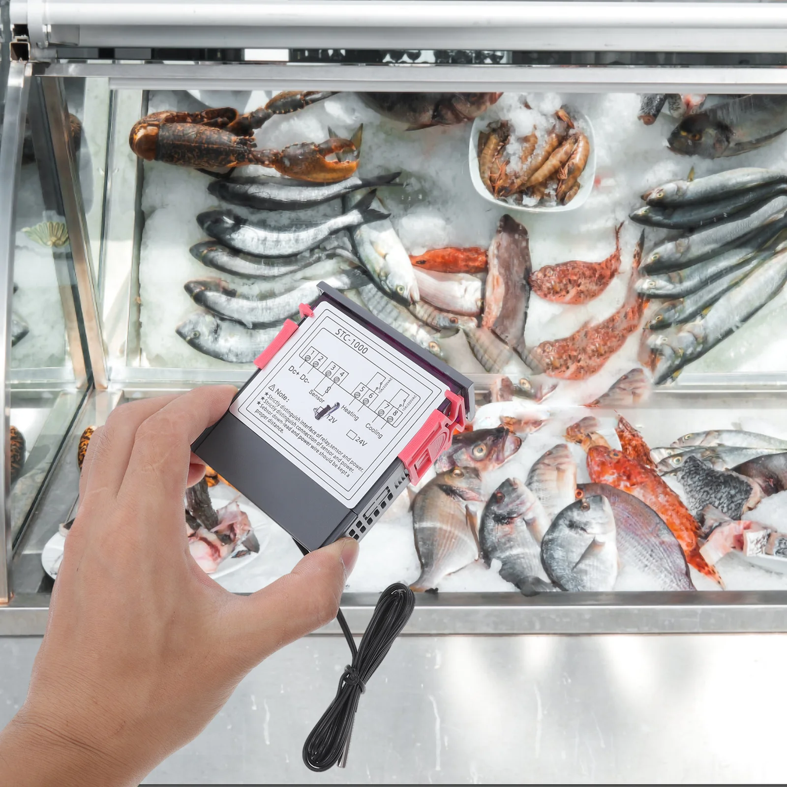 

Digital Temperature Controller 12V with for Refrigerator and Fermenter Cooling Heating System Thermostat Control