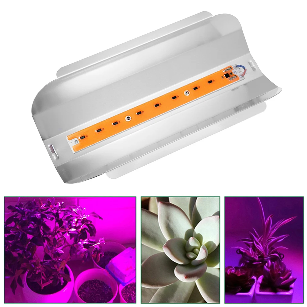 

50W Full Spectrum IP67 Waterproof Plant Flower Vegetable COB LED Grow Light