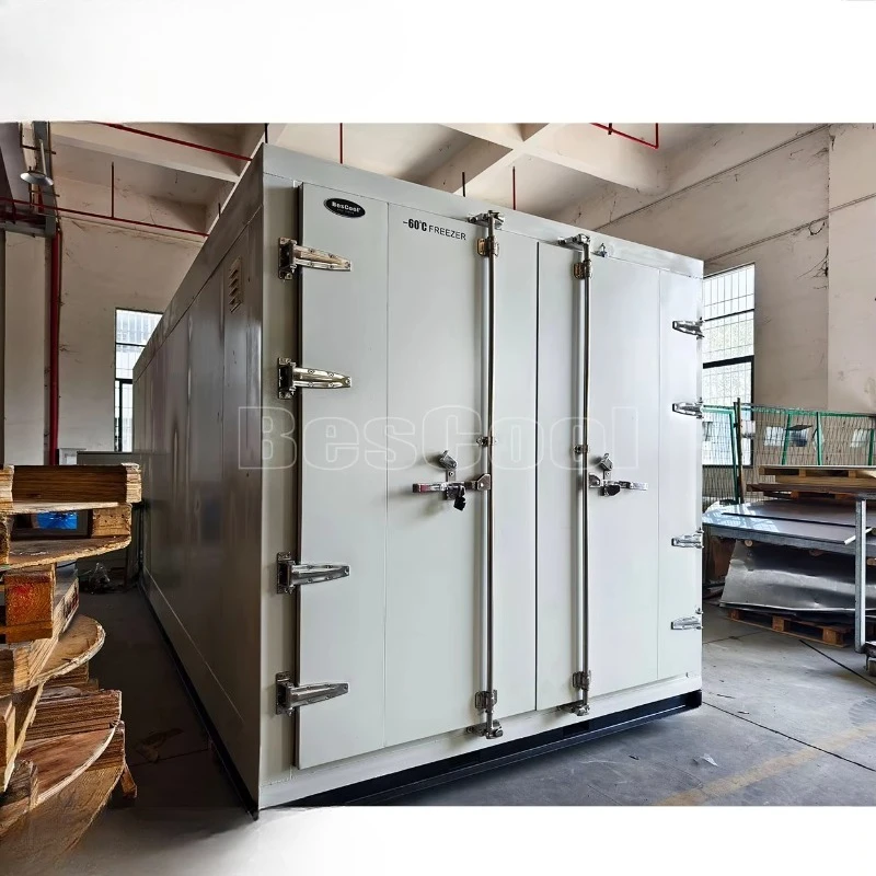 Customized Hot Sale Shipping Freezer Container Cold Storage Blast Freezing Cooling Room for Storing Frozen Meat Vegetable Fruit