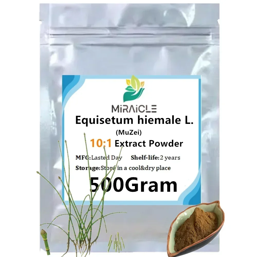 50-1000g,Extrait de voleur de bois/Equisətum hiemalə L.  Extract